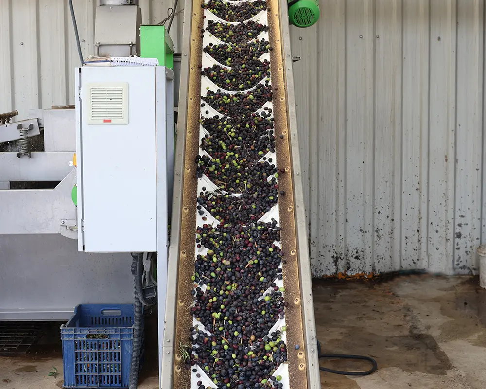 nautica-ambienti Apparecchi-per-il-trasporto-leggero