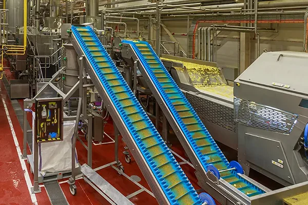 Nastri-elevatori-a-tazze