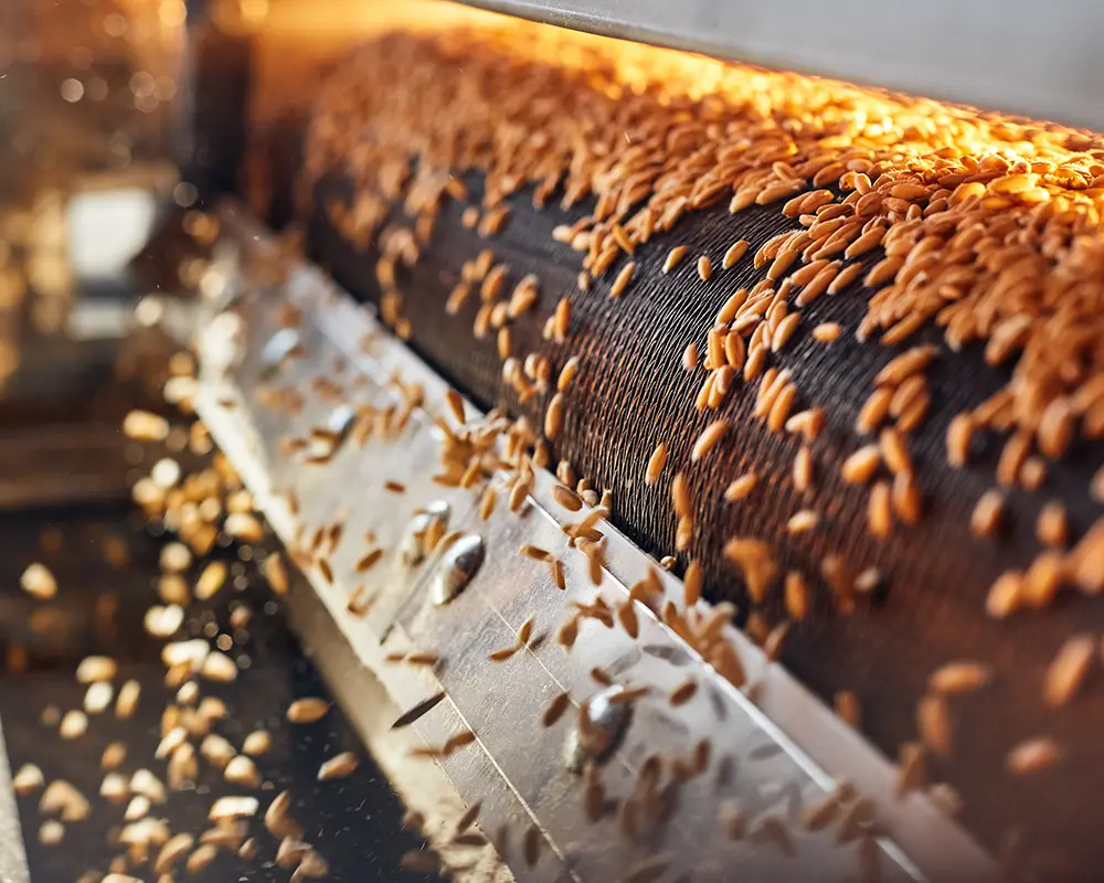 edilizia-civile Nastri-trasportatori-agricoli-industriali