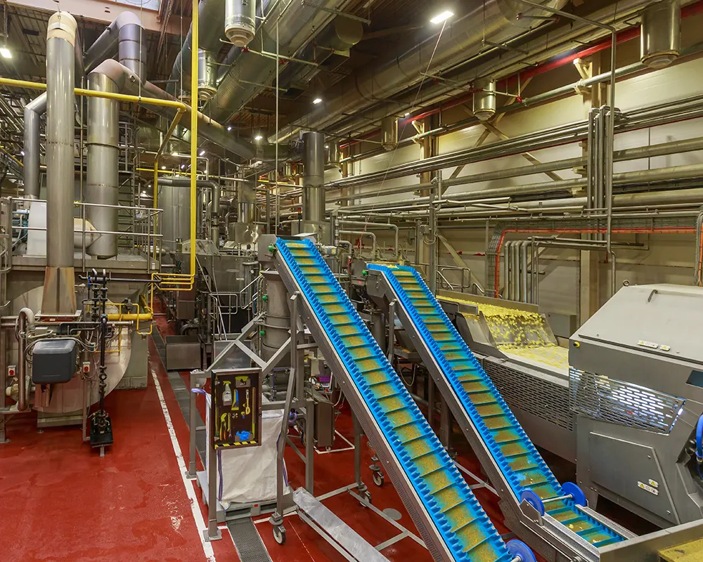 Nastri-trasportatori-elevatori