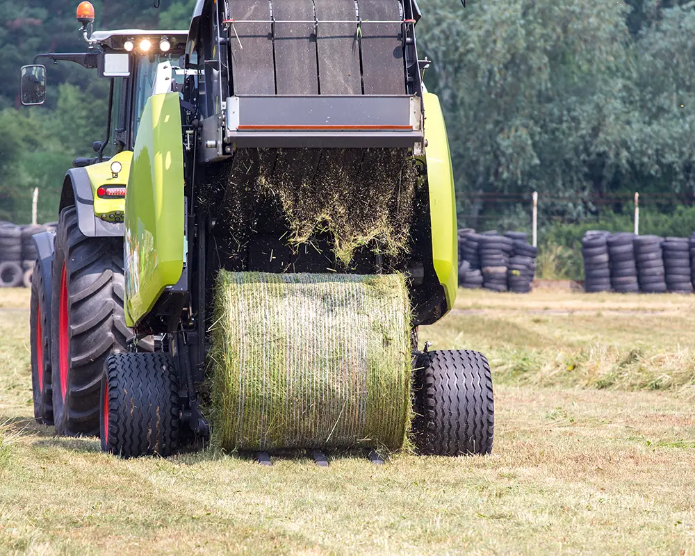 edilizia-civile Nastro-trasportatore-agricolo
