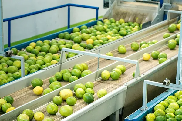 Sistemi-di-movimentazione-alimentare