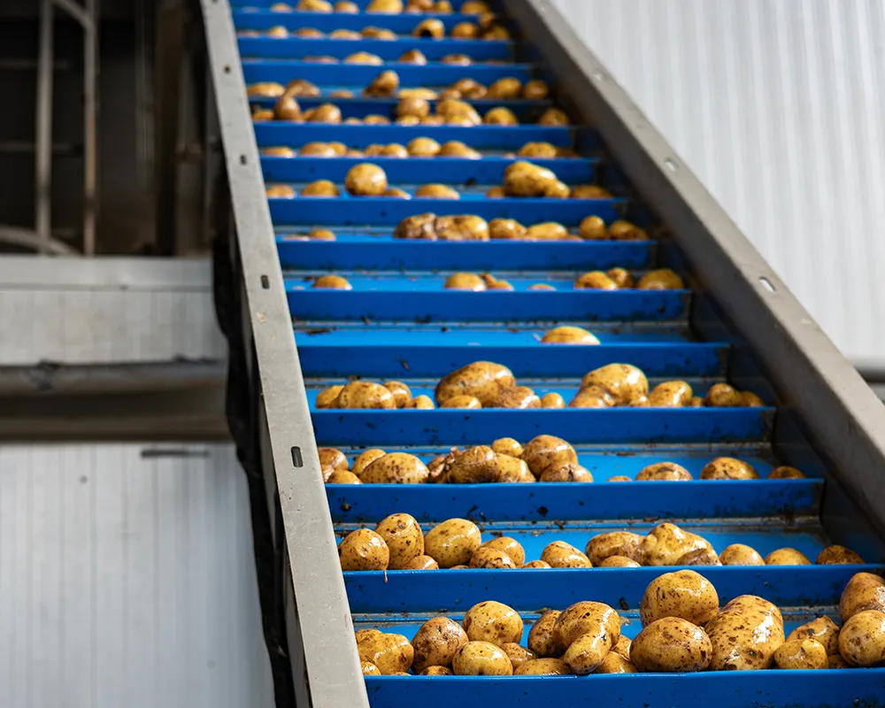 nautica-ambienti nastri-per-movimentazione-alimenti