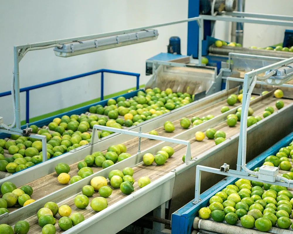 edilizia-civile nastri-trasportatori-industria-alimentare